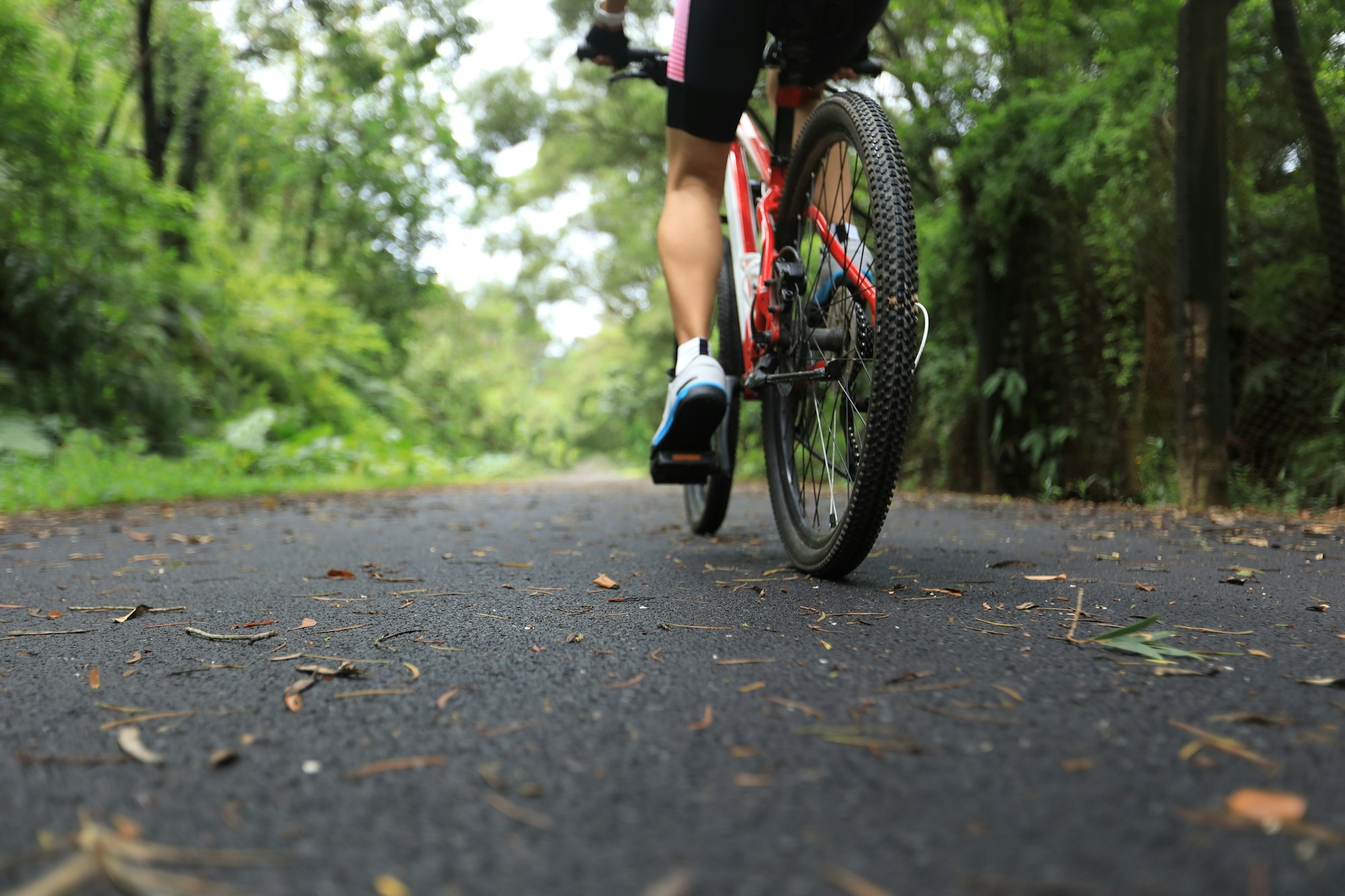 Riding mountain bike on forest trail